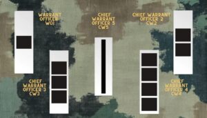 Complete List of US Army Ranks in Order - Rising to the Top - NSIN