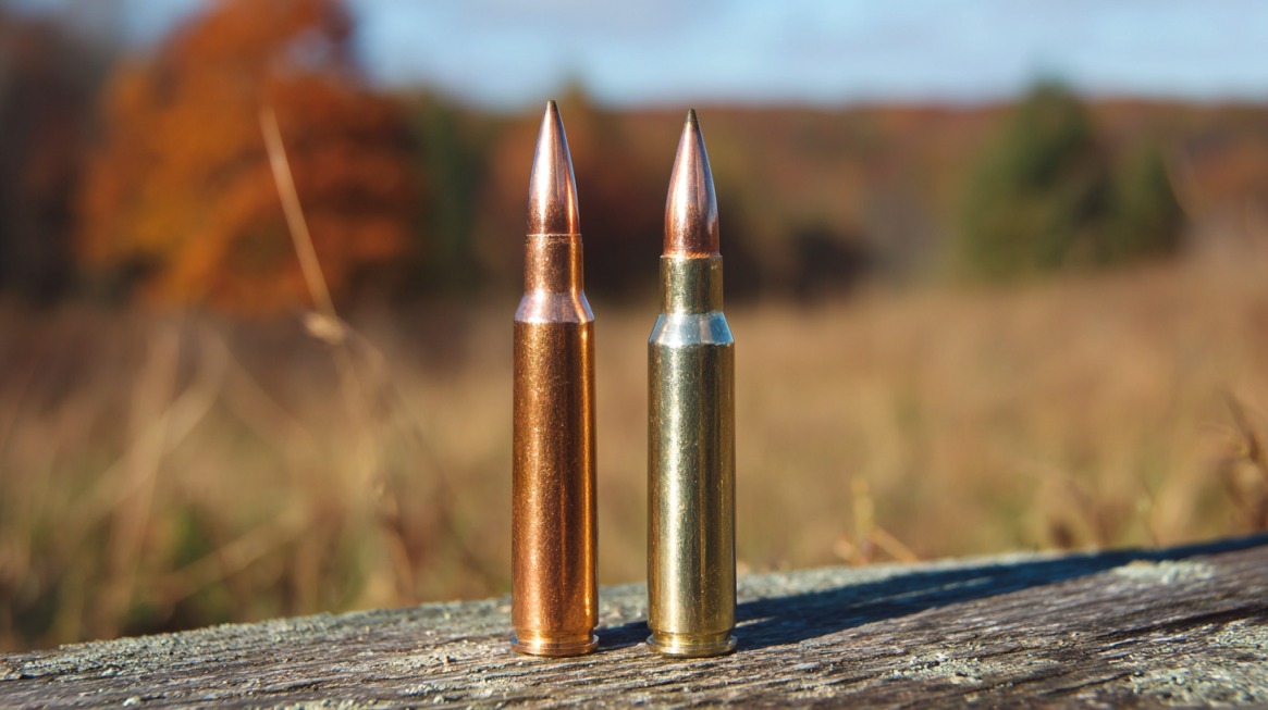 Two rifle cartridges, .350 Legend and .308 Winchester, standing upright on a wooden surface with a blurred autumn landscape in the background